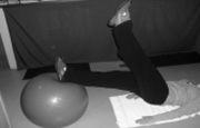 Single Leg Curls